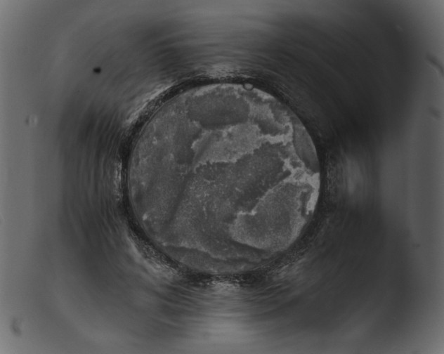 X0000103960592200810101246