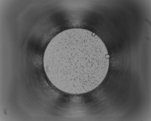 X0000103960593200810101246