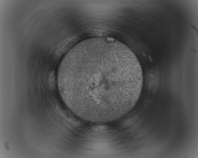 X0000103960594200810101246