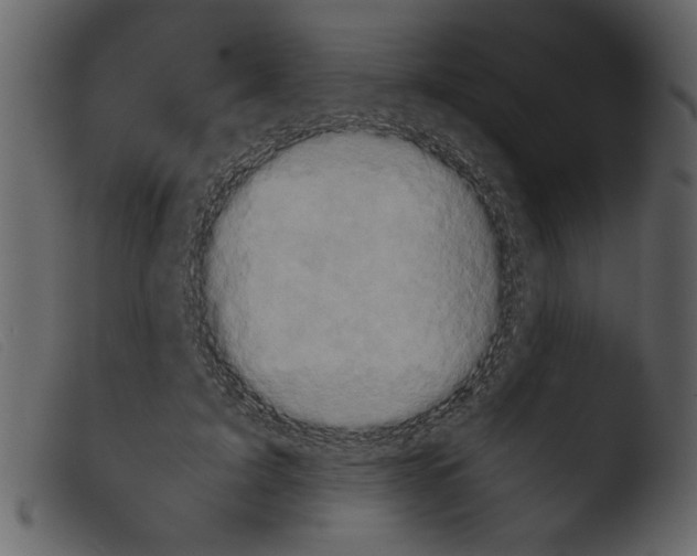 X0000103960595200810101246