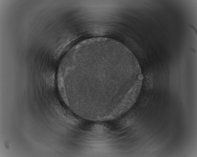 X0000103960596200810101246