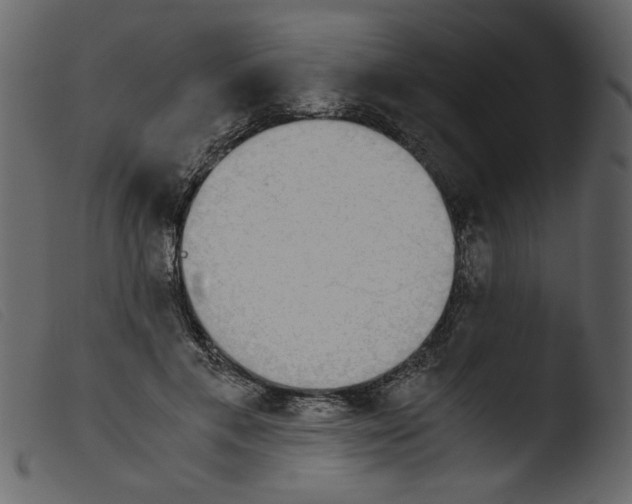 X0000103960597200810101246