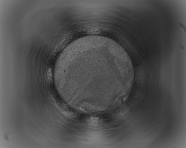 X0000103960598200810101246