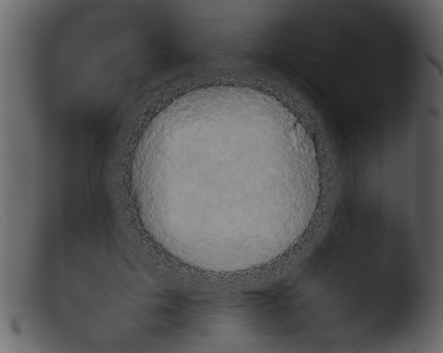 X0000103960599200810101246