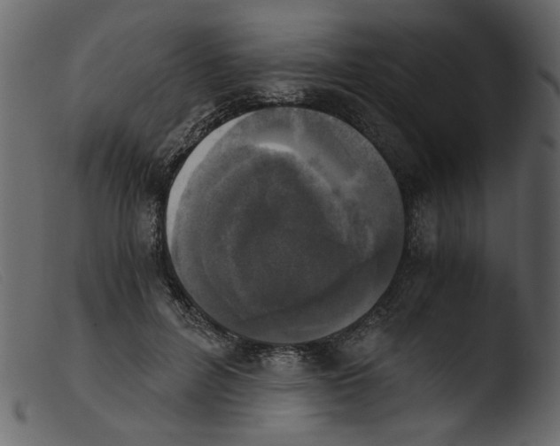 X0000103960600200810101246