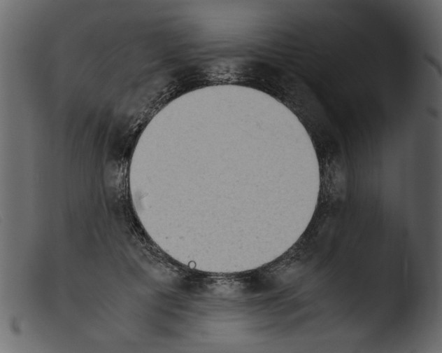 X0000103960601200810101246