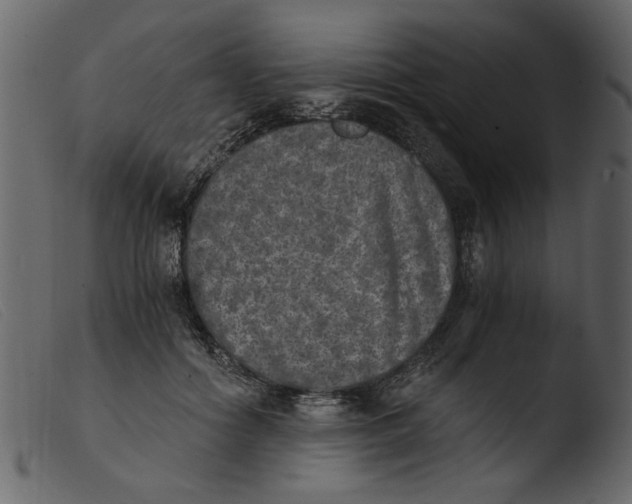 X0000103960602200810101246