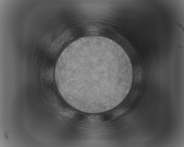 X0000103960603200810101246