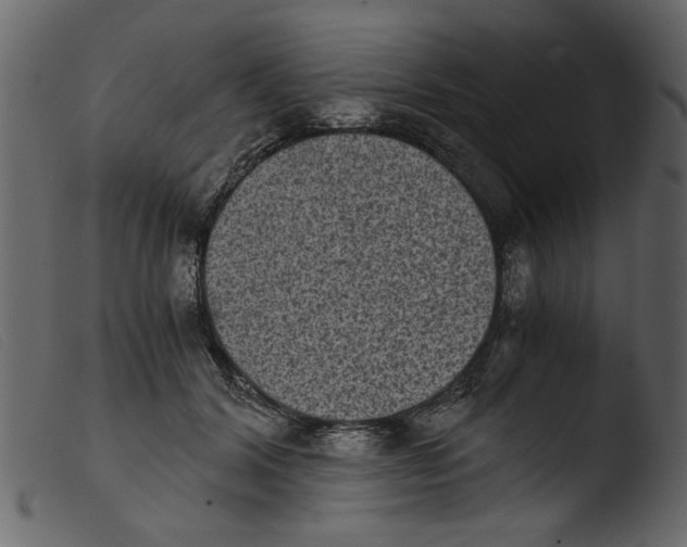 X0000103960604200810101246