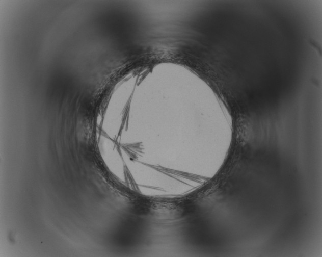 X0000103960605200810101246