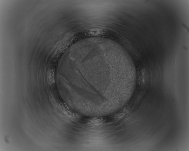 X0000103960606200810101246