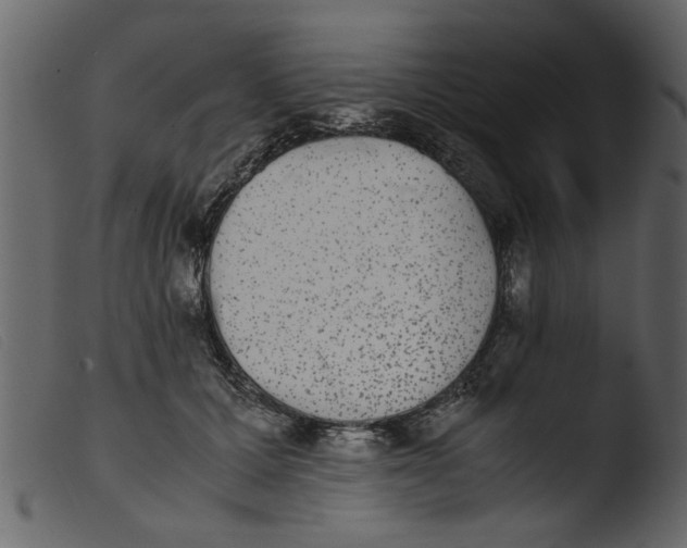 X0000103960607200810101246