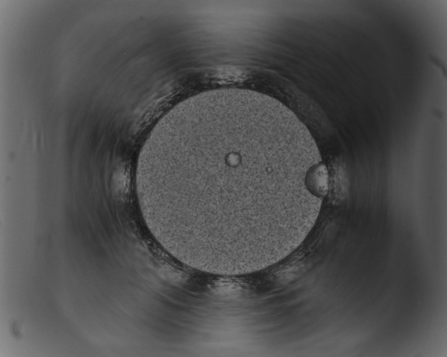 X0000103960608200810101246