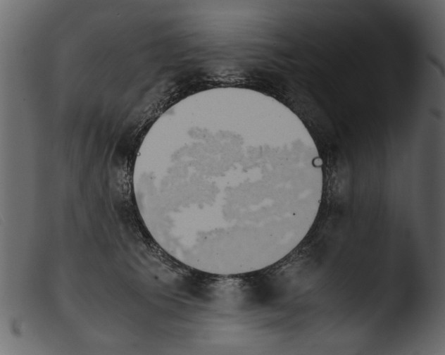 X0000103960609200810101246