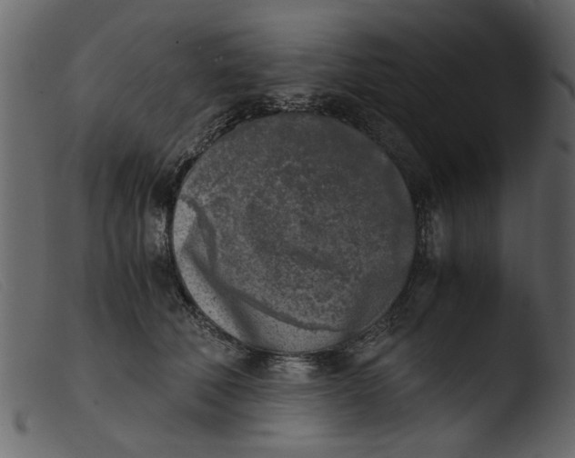 X0000103960610200810101246