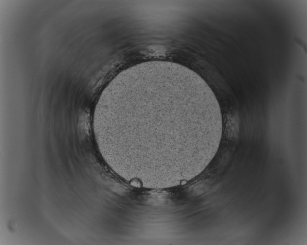 X0000103960612200810101246