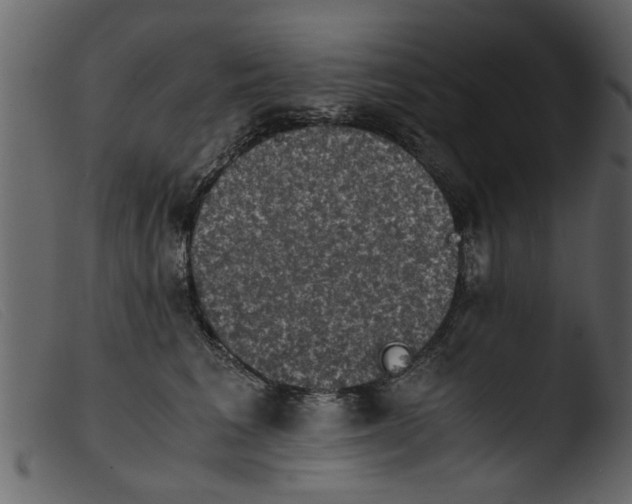 X0000103960613200810101246