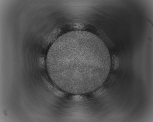 X0000103960614200810101246