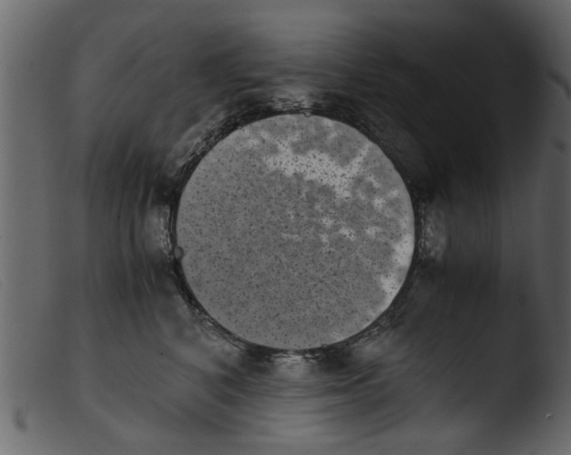 X0000103960616200810101246