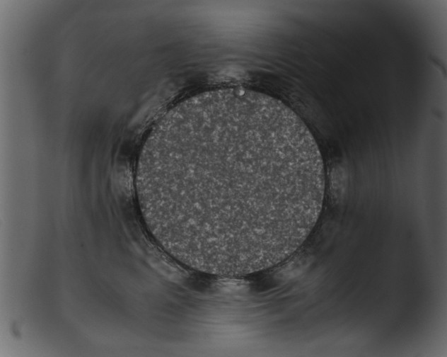 X0000103960617200810101246