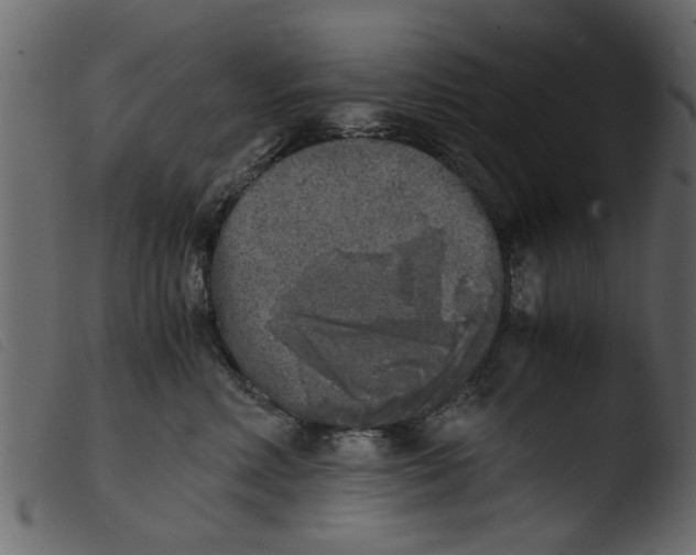 X0000103960618200810101246