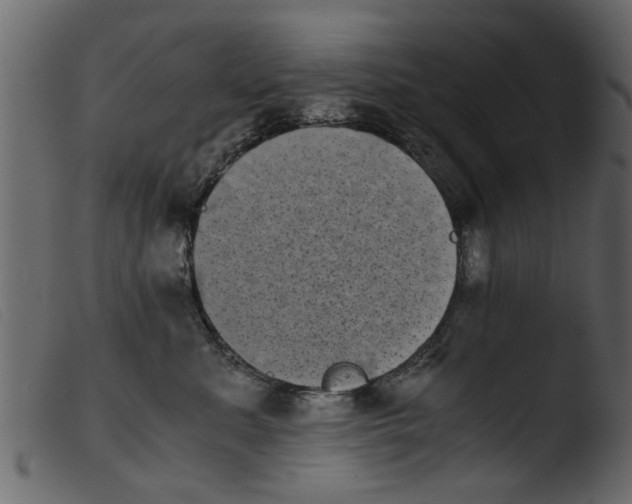 X0000103960619200810101246