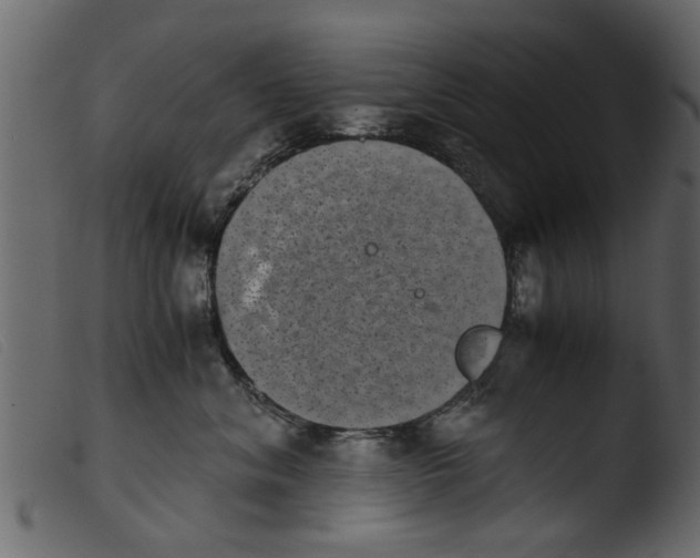 X0000103960620200810101246