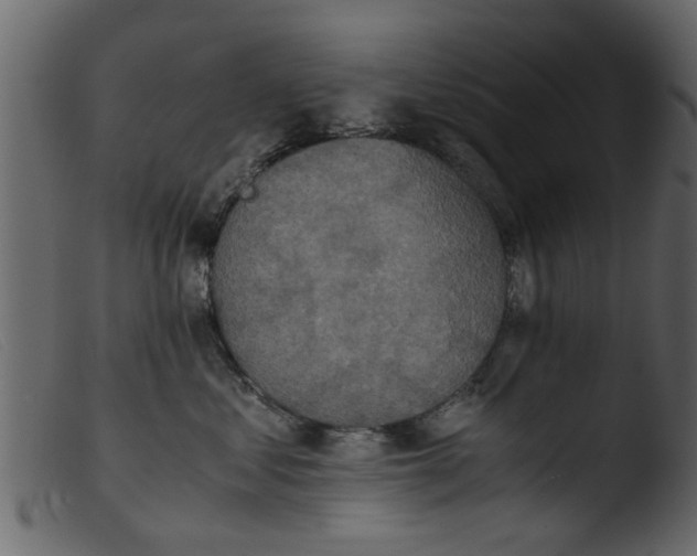 X0000103960621200810101246