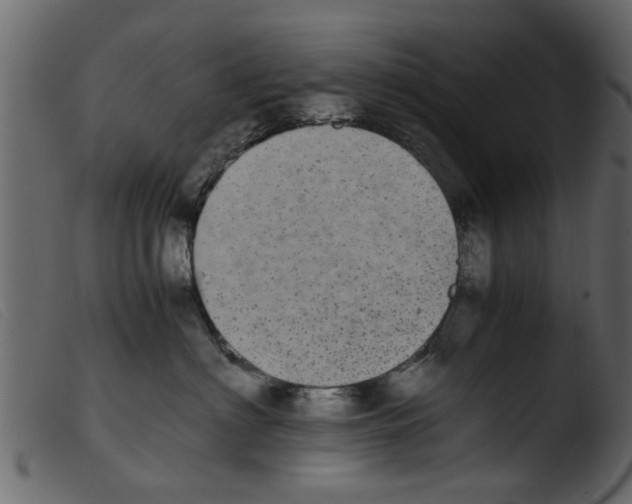 X0000103960622200810101246