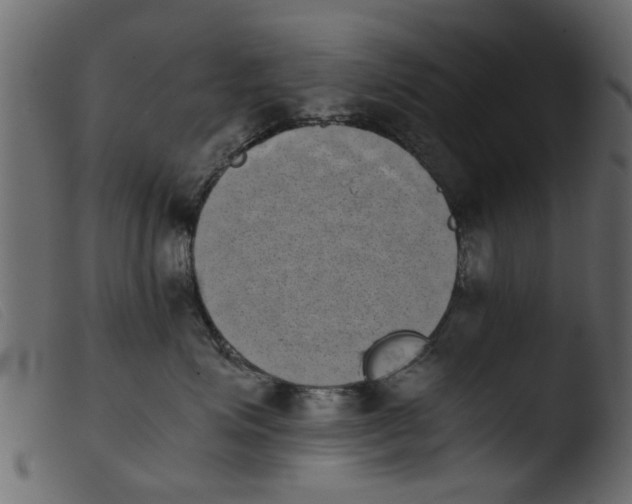 X0000103960623200810101246