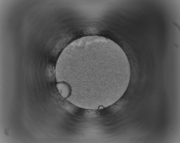 X0000103960624200810101246