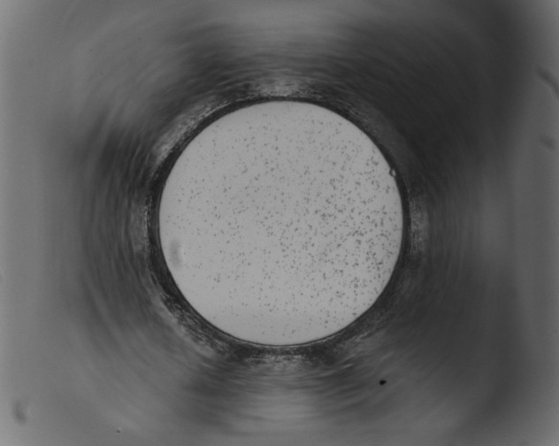 X0000103960626200810101245