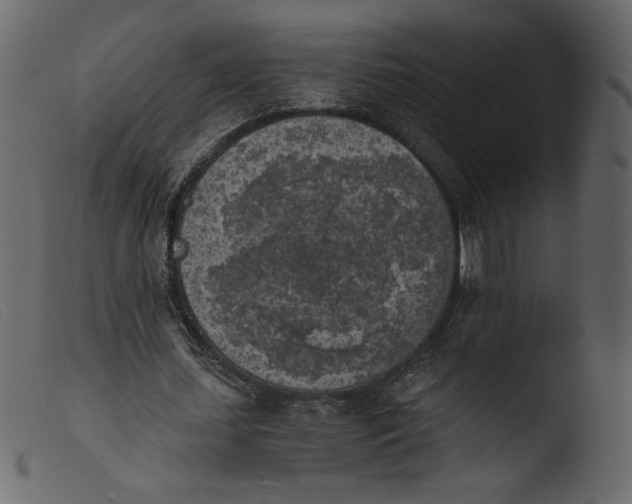 X0000103960627200810101245