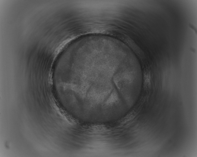 X0000103960628200810101245