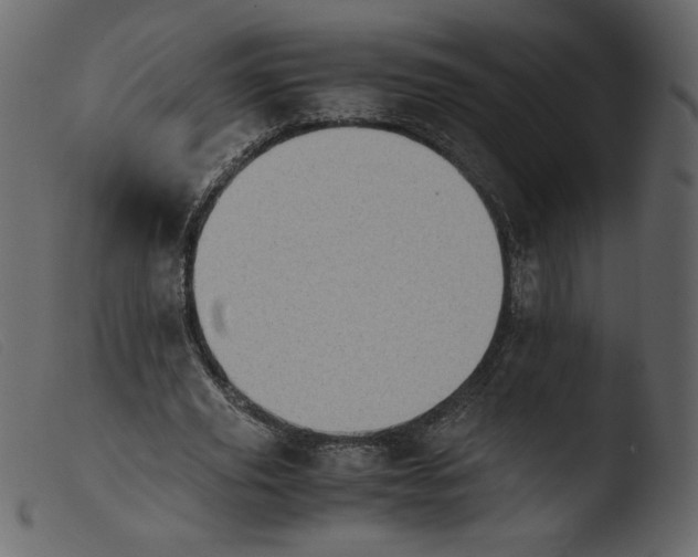 X0000103960629200810101245