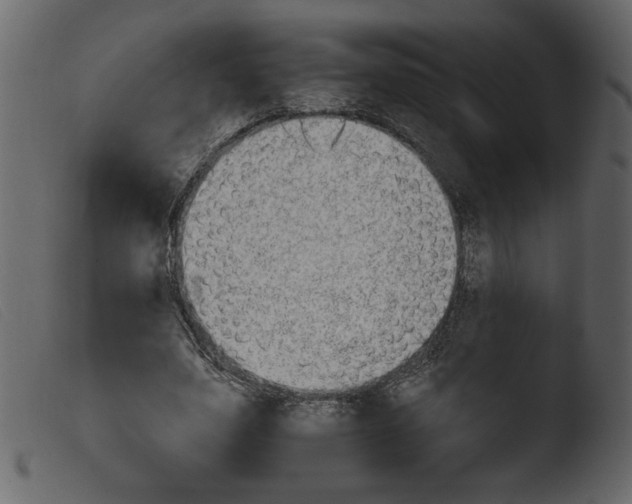 X0000103960631200810101245