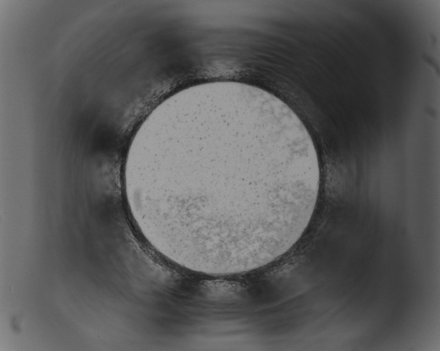 X0000103960633200810101245