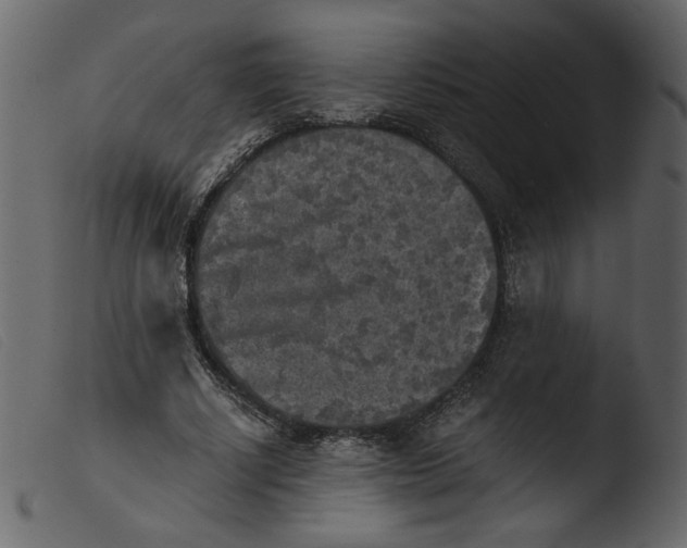 X0000103960634200810101245