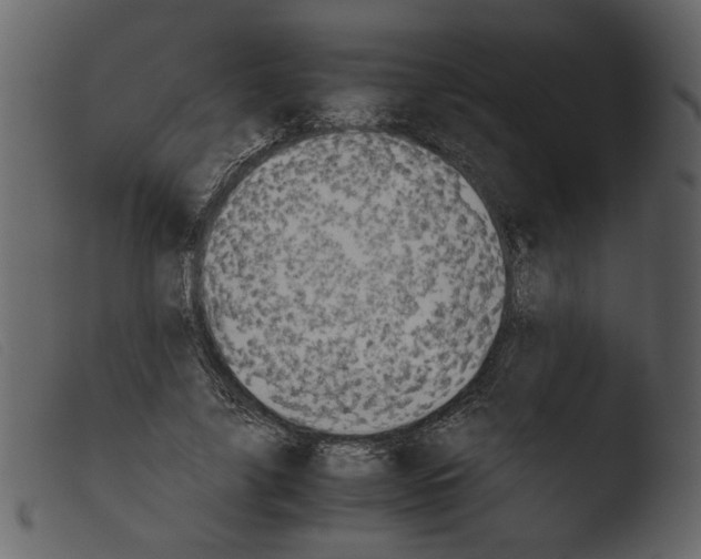 X0000103960635200810101245