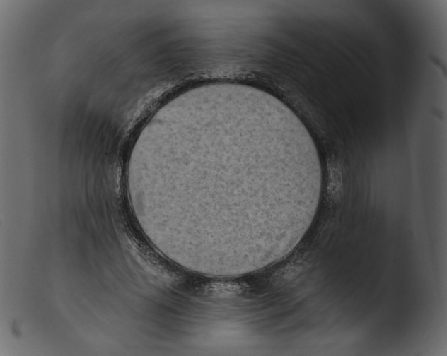 X0000103960636200810101245