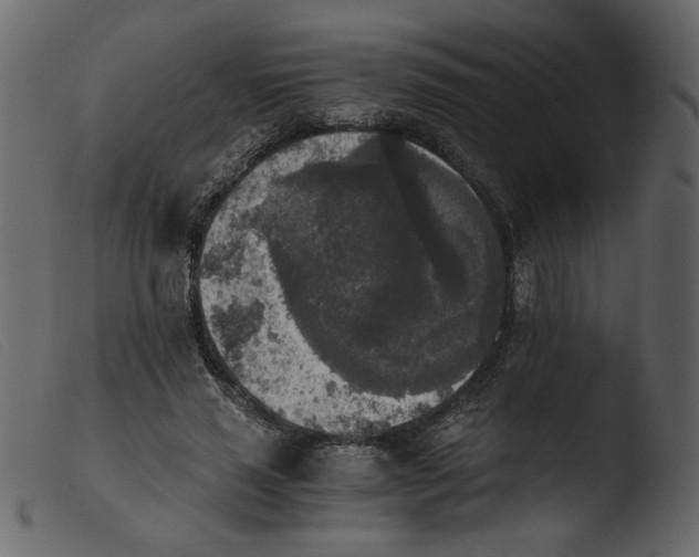 X0000103960637200810101245