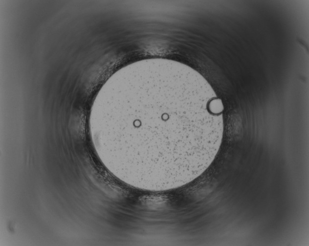 X0000103960639200810101245