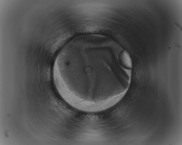 X0000103960640200810101245