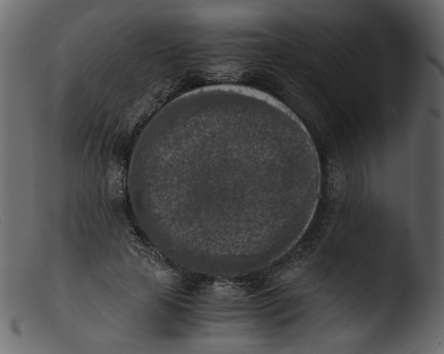 X0000103960641200810101245