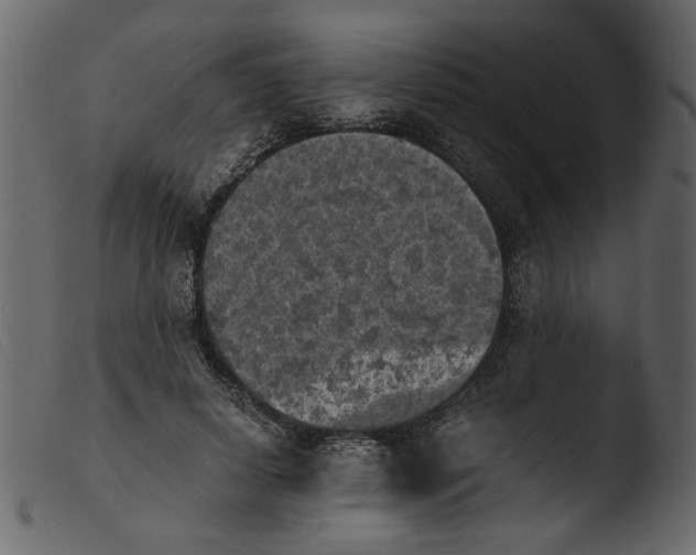 X0000103960642200810101245