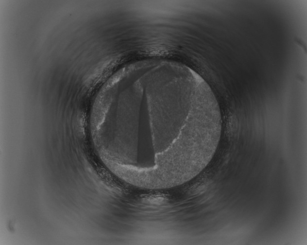 X0000103960643200810101245