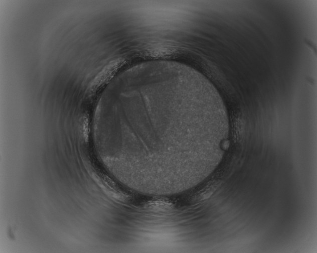 X0000103960644200810101245