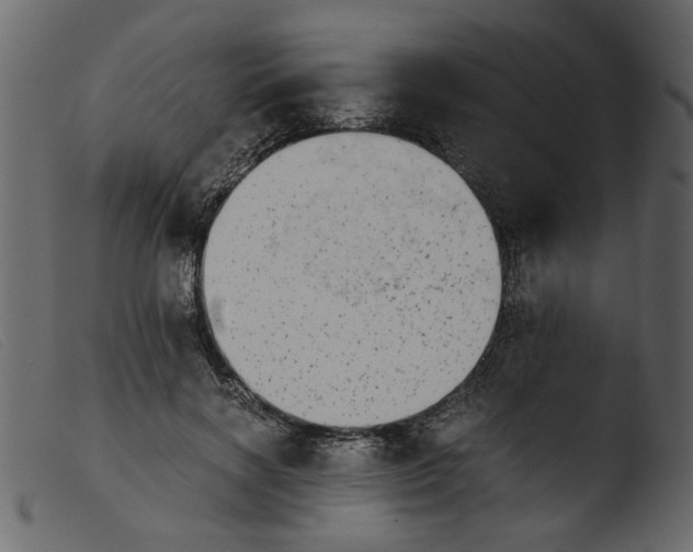 X0000103960646200810101245