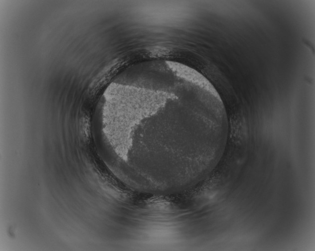 X0000103960648200810101245