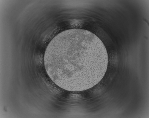 X0000103960649200810101245